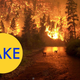 Illustration for article titled 7 More Viral Photos That Are Totally Fake